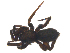  ( - CCDB-28552-C08)  @11 [ ] CreativeCommons - Attribution (2015) G. Blagoev Centre for Biodiversity Genomics