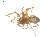  ( - CCDB-28552-F08)  @11 [ ] CreativeCommons - Attribution (2015) G. Blagoev Centre for Biodiversity Genomics