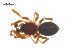  ( - CCDB-29006-B07)  @11 [ ] CreativeCommons - Attribution (2015) G. Blagoev Centre for Biodiversity Genomics