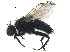  ( - BIOUG36538-E12)  @11 [ ] CreativeCommons - Attribution (2018) CBG Photography Group Centre for Biodiversity Genomics