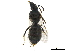  ( - BIOUG36793-A04)  @12 [ ] CreativeCommons - Attribution (2019) CBG Photography Group Centre for Biodiversity Genomics