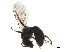  ( - BIOUG36793-D05)  @12 [ ] CreativeCommons - Attribution (2019) CBG Photography Group Centre for Biodiversity Genomics