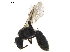  ( - BIOUG36793-D06)  @12 [ ] CreativeCommons - Attribution (2019) CBG Photography Group Centre for Biodiversity Genomics