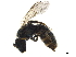  ( - BIOUG36793-E01)  @12 [ ] CreativeCommons - Attribution (2019) CBG Photography Group Centre for Biodiversity Genomics