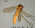  ( - GL113)  @13 [ ] Creative Commons  Attribution Non-Commercial Share-Alike (2016) NTNU University Museum, Department of Natural History NTNU University Museum, Department of Natural History
