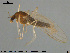  ( - GL74)  @13 [ ] CreativeCommons - Attribution Non-Commercial Share-Alike (2016) NTNU University Museum, Department of Natural History NTNU University Museum, Department of Natural History