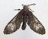  ( - MBe0082)  @11 [ ] Copyright (2018) Unspecified Forest Zoology and Entomology (FZE) University of Freiburg