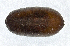  ( - MBe0155)  @12 [ ] © (2019) Unspecified Forest Zoology and Entomology (FZE) University of Freiburg