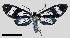  ( - MBe0359)  @11 [ ] © (2020) Unspecified Forest Zoology and Entomology (FZE) University of Freiburg