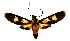  ( - MBe0508)  @11 [ ] Unspecified (default): All Rights Reserved  Unspecified Unspecified