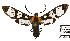  ( - MBe0584)  @11 [ ] Unspecified (default): All Rights Reserved  Unspecified Unspecified