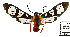  ( - MBe0585)  @11 [ ] Unspecified (default): All Rights Reserved  Unspecified Unspecified