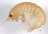  ( - BIOUG14664-E07)  @13 [ ] CreativeCommons - Attribution (2014) CBG Photography Group Centre for Biodiversity Genomics