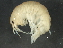  ( - BIOUG14665-B05)  @13 [ ] CreativeCommons - Attribution (2014) CBG Photography Group Centre for Biodiversity Genomics