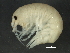 ( - BIOUG14665-B06)  @13 [ ] CreativeCommons - Attribution (2014) CBG Photography Group Centre for Biodiversity Genomics