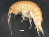  ( - BIOUG14666-E04)  @13 [ ] CreativeCommons - Attribution (2014) CBG Photography Group Centre for Biodiversity Genomics