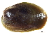  ( - BIOUG14667-A09)  @13 [ ] CreativeCommons - Attribution (2014) CBG Photography Group Centre for Biodiversity Genomics