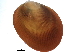  ( - BIOUG14667-B12)  @14 [ ] CreativeCommons - Attribution (2014) CBG Photography Group Centre for Biodiversity Genomics