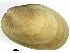  ( - BIOUG14667-C12)  @13 [ ] CreativeCommons - Attribution (2014) CBG Photography Group Centre for Biodiversity Genomics