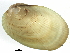  ( - BIOUG14667-D01)  @13 [ ] CreativeCommons - Attribution (2014) CBG Photography Group Centre for Biodiversity Genomics