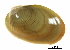  ( - BIOUG14667-D05)  @13 [ ] CreativeCommons - Attribution (2014) CBG Photography Group Centre for Biodiversity Genomics