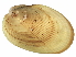  ( - BIOUG14667-D07)  @13 [ ] CreativeCommons - Attribution (2014) CBG Photography Group Centre for Biodiversity Genomics