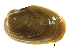  ( - BIOUG14667-D10)  @14 [ ] CreativeCommons - Attribution (2014) CBG Photography Group Centre for Biodiversity Genomics