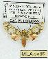  ( - MILA 0086)  @14 [ ] Copyright (2010) Unspecified Research Collection of Michel Laguerre
