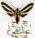  ( - MILA 0126)  @13 [ ] Copyright (2010) Unspecified Research Collection of Michel Laguerre