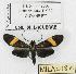  ( - MILA 0180)  @14 [ ] Copyright (2010) Unspecified Research Collection of Michel Laguerre