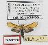  ( - MILA 0182)  @13 [ ] Copyright (2010) Unspecified Research Collection of Michel Laguerre