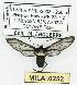  ( - MILA 0252)  @13 [ ] Copyright (2010) Unspecified Research Collection of Michel Laguerre