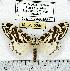  ( - MILA 0286)  @14 [ ] Copyright (2010) Unspecified Research Collection of Michel Laguerre
