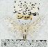  ( - MILA 0307)  @14 [ ] Copyright (2010) Unspecified Research Collection of Michel Laguerre
