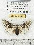  ( - MILA 0332)  @14 [ ] Copyright (2010) Unspecified Research Collection of Michel Laguerre