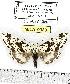  ( - MILA 0383)  @14 [ ] Copyright (2010) Unspecified Research Collection of Michel Laguerre