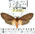  ( - MILA 0391)  @14 [ ] Copyright (2010) Unspecified Research Collection of Michel Laguerre