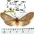  ( - MILA 0417)  @14 [ ] Copyright (2010) Unspecified Research Collection of Michel Laguerre