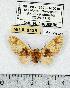  ( - MILA 0435)  @12 [ ] Copyright (2010) Unspecified Research Collection of Michel Laguerre