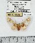  ( - MILA 0436)  @13 [ ] Copyright (2010) Unspecified Research Collection of Michel Laguerre