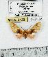  ( - MILA 0439)  @12 [ ] Copyright (2010) Unspecified Research Collection of Michel Laguerre