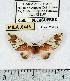  ( - MILA 0446)  @13 [ ] Copyright (2010) Unspecified Research Collection of Michel Laguerre