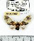  ( - MILA 0447)  @14 [ ] Copyright (2010) Unspecified Research Collection of Michel Laguerre