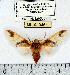  ( - MILA 0461)  @14 [ ] Copyright (2010) Unspecified Research Collection of Michel Laguerre
