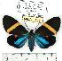  ( - MILA 0518)  @14 [ ] Copyright (2010) Unspecified Research Collection of Michel Laguerre