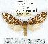  ( - MILA 0557)  @14 [ ] Copyright (2010) Unspecified Research Collection of Michel Laguerre