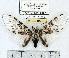  ( - MILA 0582)  @14 [ ] Copyright (2010) Unspecified Research Collection of Michel Laguerre