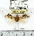  ( - MILA 0624)  @13 [ ] Copyright (2010) Unspecified Research Collection of Michel Laguerre