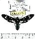  ( - MILA 0633)  @14 [ ] Copyright (2010) Unspecified Research Collection of Michel Laguerre