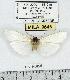  ( - MILA 0646)  @13 [ ] Copyright (2010) Unspecified Research Collection of Michel Laguerre